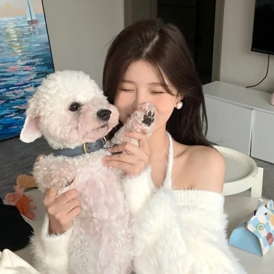 猫忍